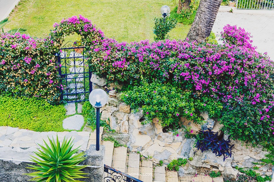 24413724656_cf49ff6c6d_b