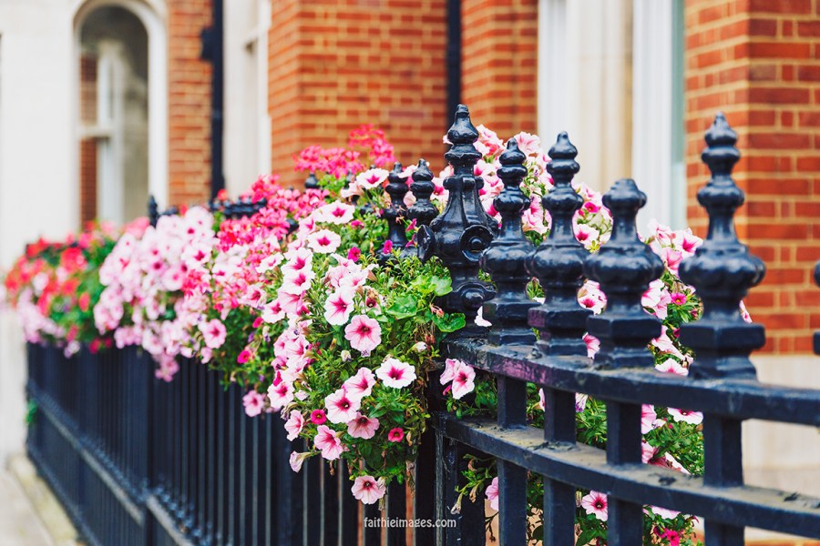 Bricks and flowers