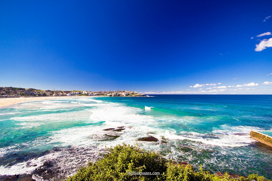 22773308253_809a531047_b