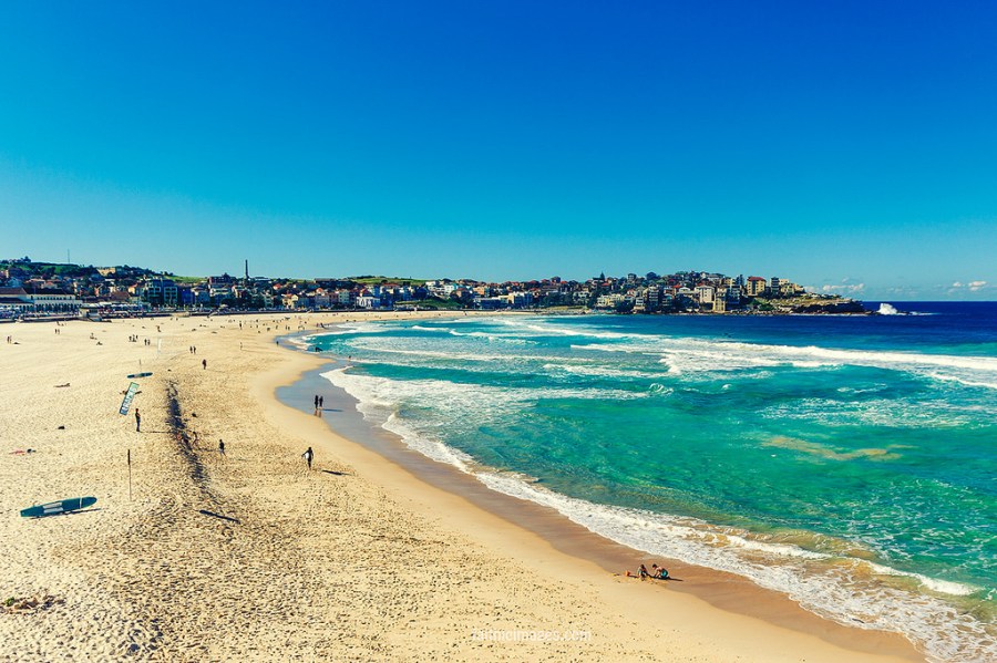 23374331856_b4b516d595_b