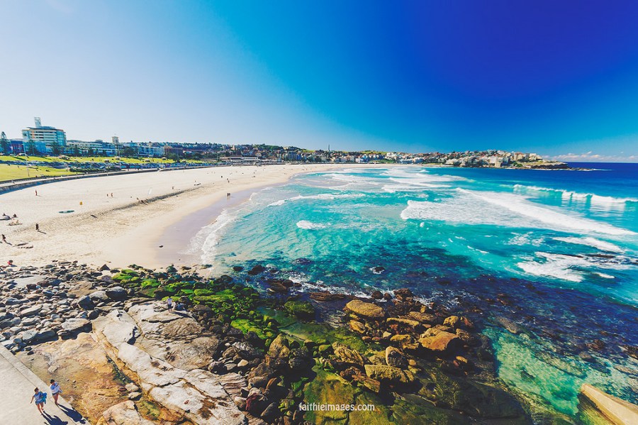 23400483855_0412f5dea7_b