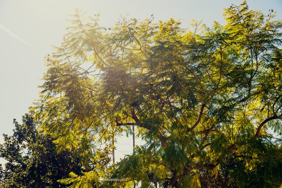 Cannes city snaps by Faithieimages