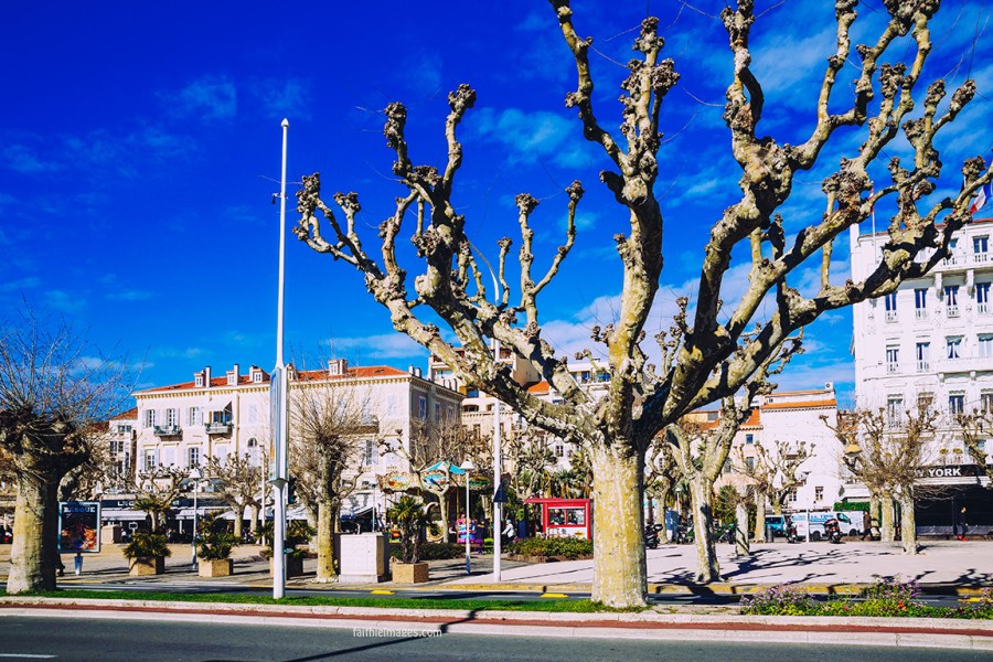 Cannes city snaps by Faithieimages
