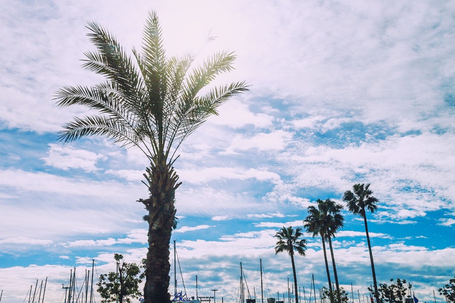 Cloudy Bay by Faithieimages