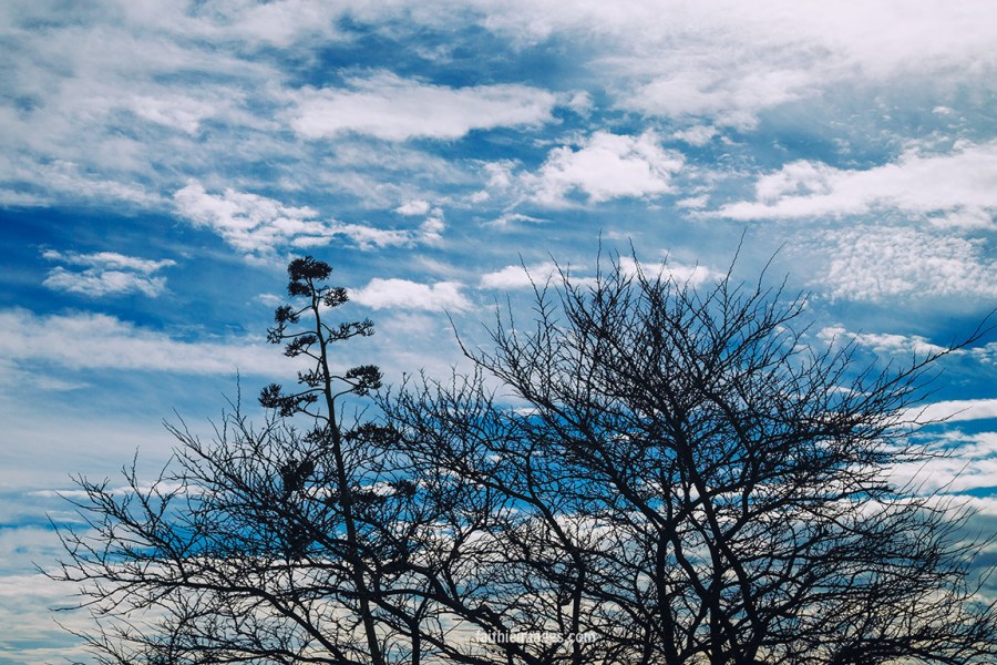 Cloudy Bay by Faithieimages