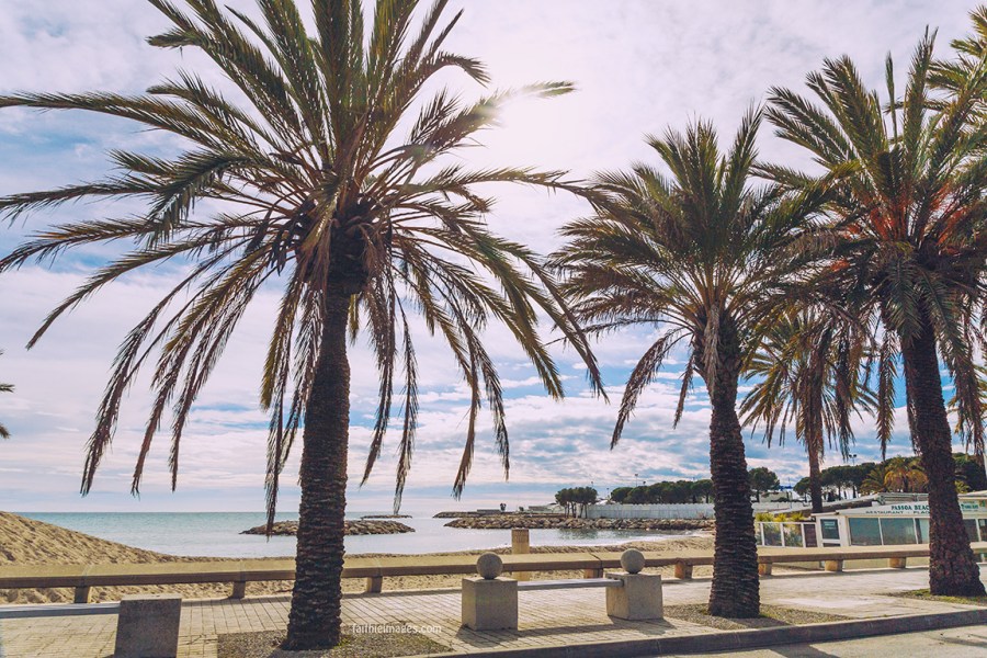 Cloudy Bay by Faithieimages