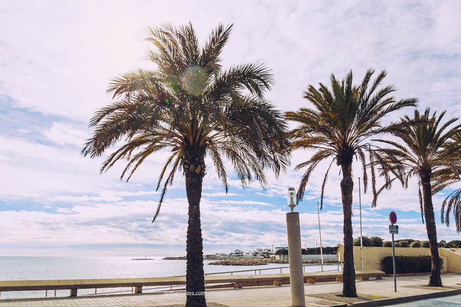 Cloudy Bay by Faithieimages