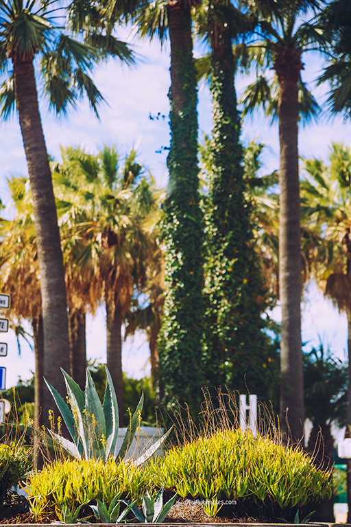 Croisette love by Faithieimages 05