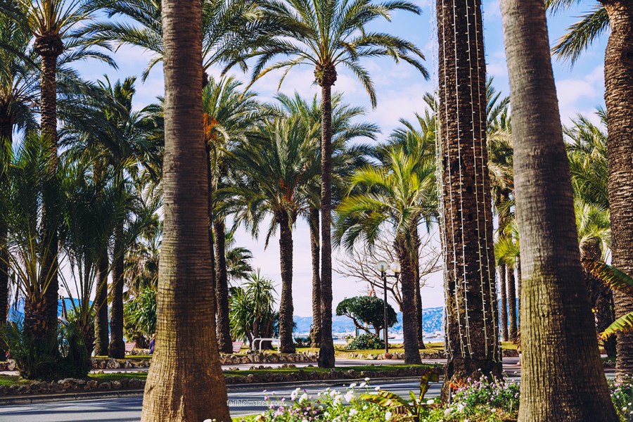 Croisette love by Faithieimages 09