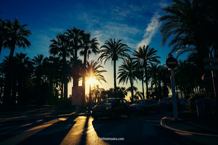 Golden Road by Faithieimages