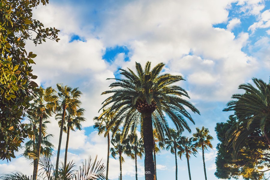 Le Golfe by Faithieimages 04