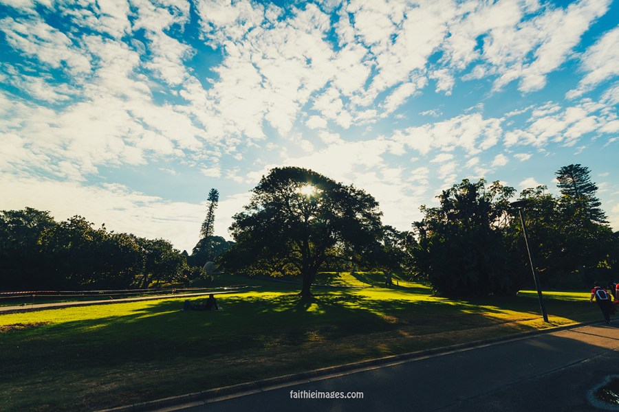 Lost in the green by Faithieimages 01