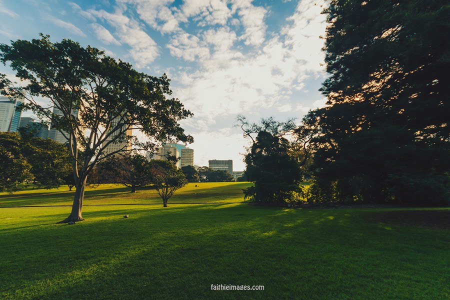 Lost in the green by Faithieimages 03