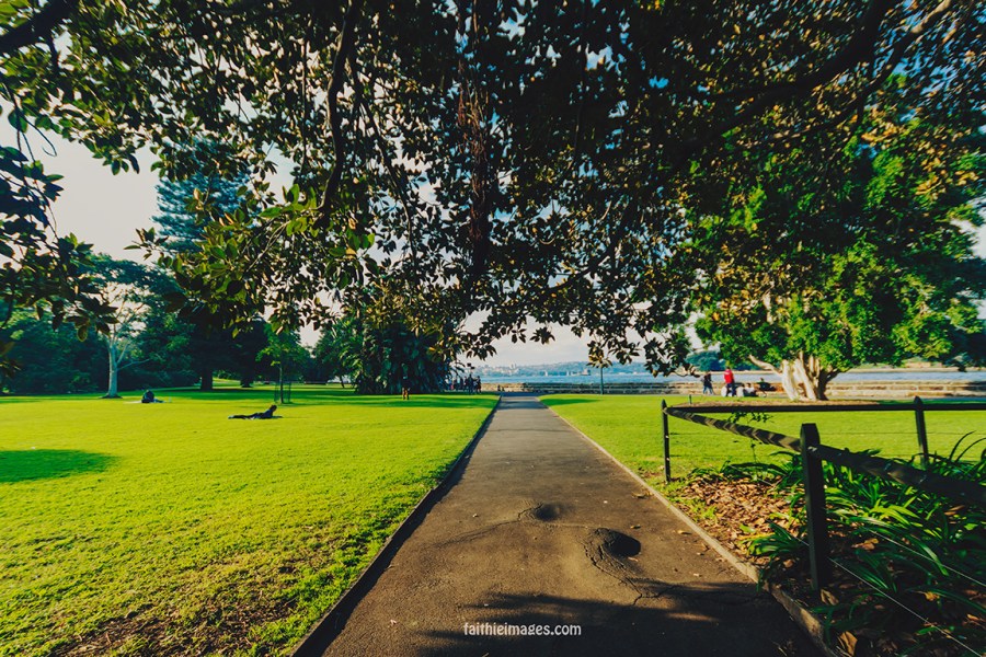 Lost in the green by Faithieimages 05