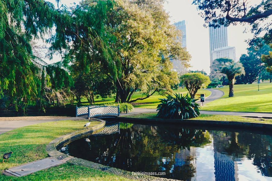 Lost in the green by Faithieimages 07