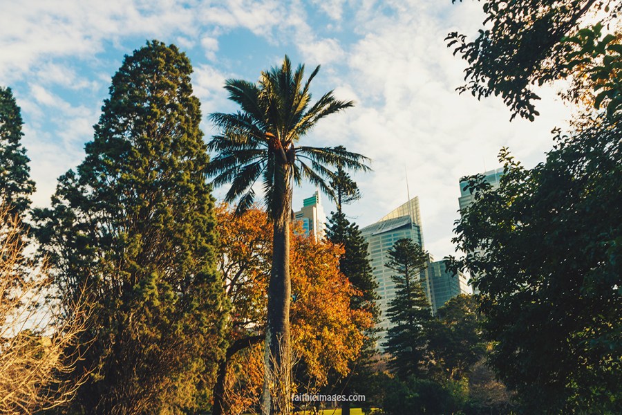 Lost in the green by Faithieimages 08