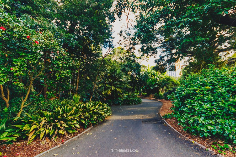 Lost in the green by Faithieimages 10