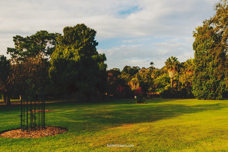 Lost in the green by Faithieimages 12