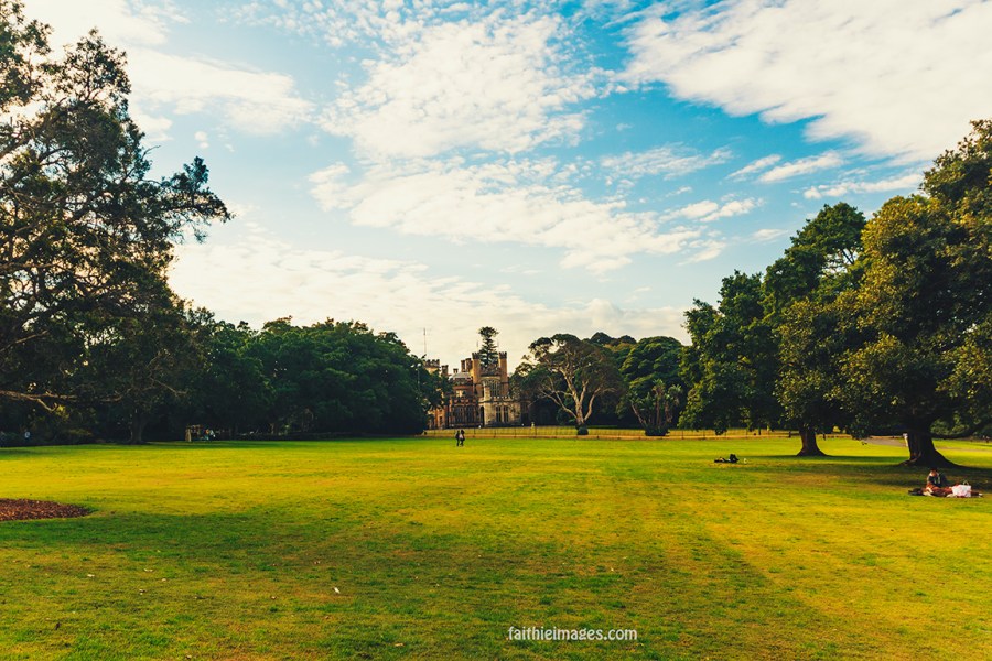 Lost in the green by Faithieimages 14