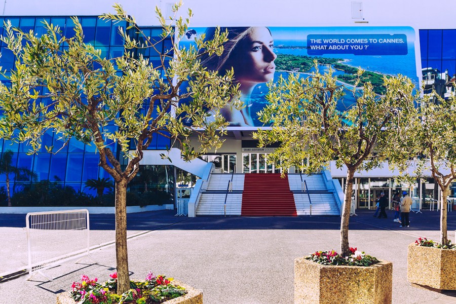 Palais des Festivals de Cannes by Faithieimages 01
