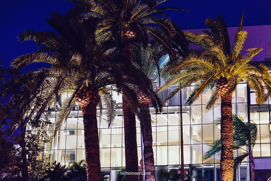 Palm tree nights by Faithieimages