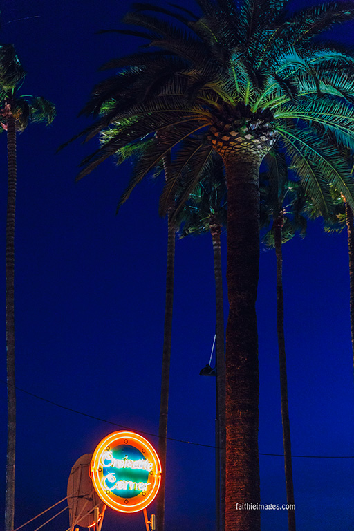 Palm tree nights by Faithieimages