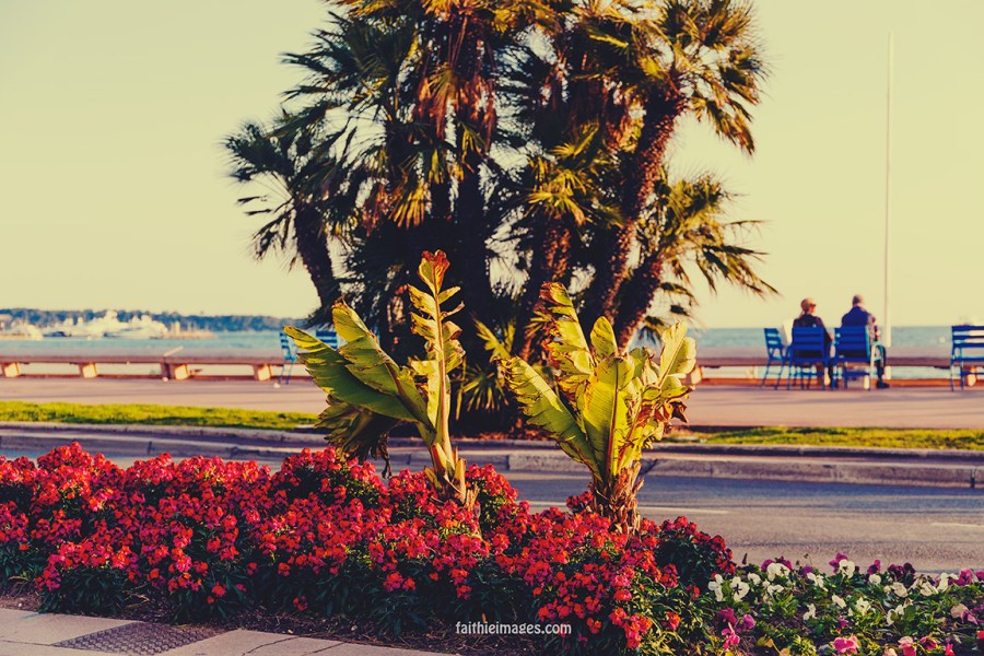 Cannes mix by Faithieimages 02