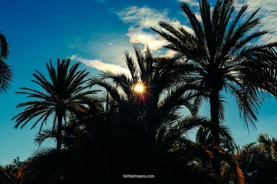 Cannes mix by Faithieimages 04