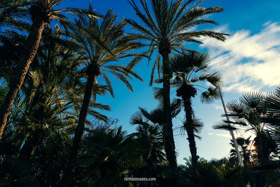 Cannes mix by Faithieimages 06