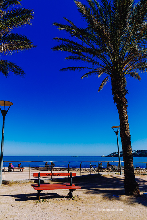 Horizon and palm trees by Faithieimages 04