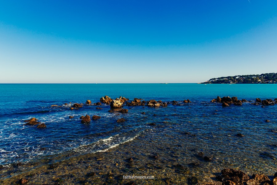 Horizon and palm trees by Faithieimages 07