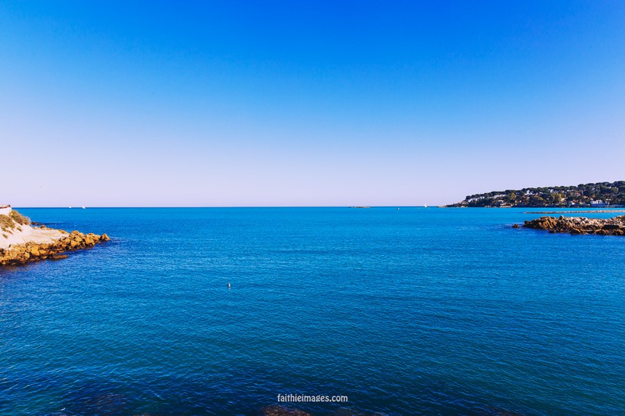 Horizon and palm trees by Faithieimages 08