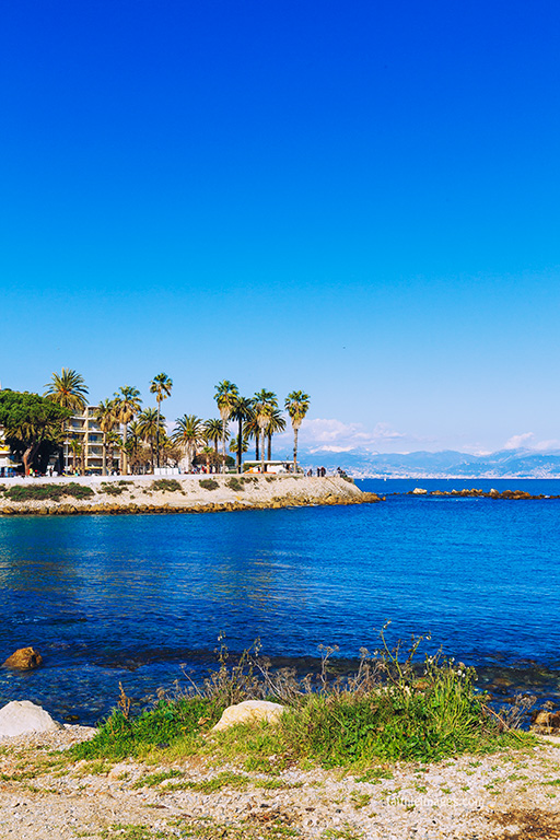 Horizon and palm trees by Faithieimages 09