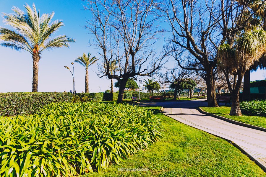 Ilette by Faithieimages 02