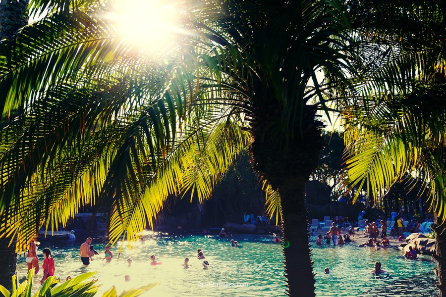 Secret mini jungle 15