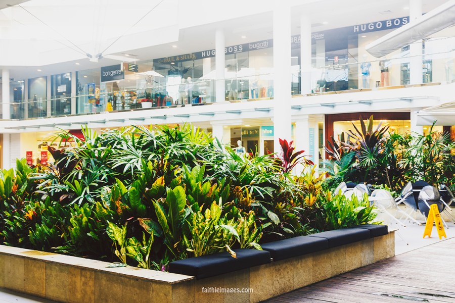 At the Mirage by Faithieimages 10