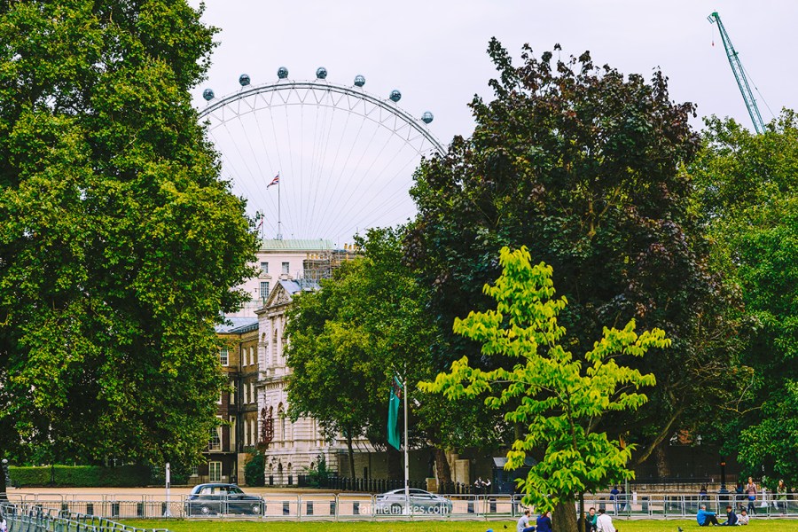 London Eye Peekaboo 005