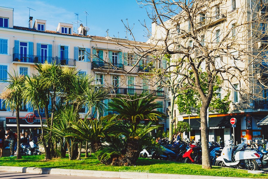 Riviera mix by Faithieimages 02