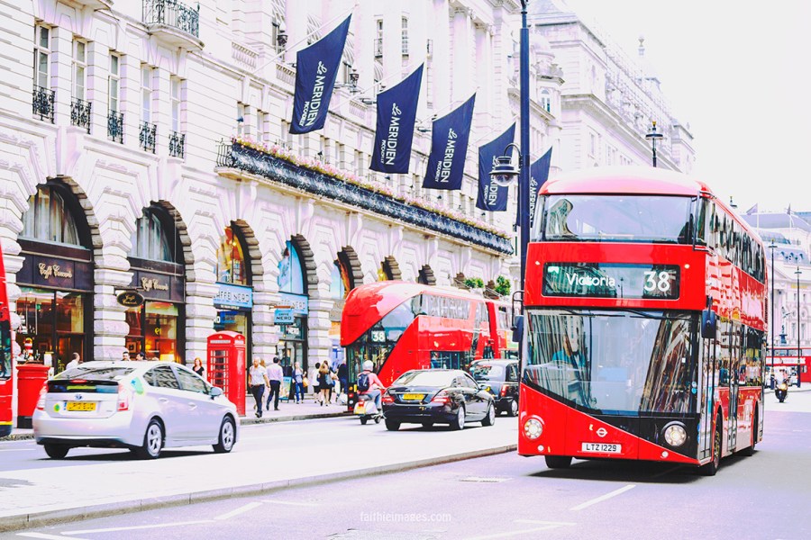 Royal red by Faithieimages 02