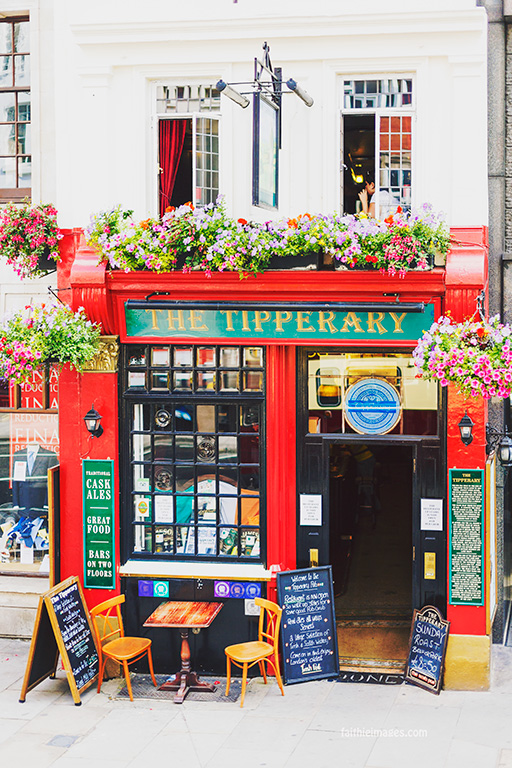 Royal red by Faithieimages 04