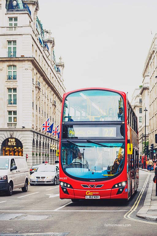 Royal red by Faithieimages 09