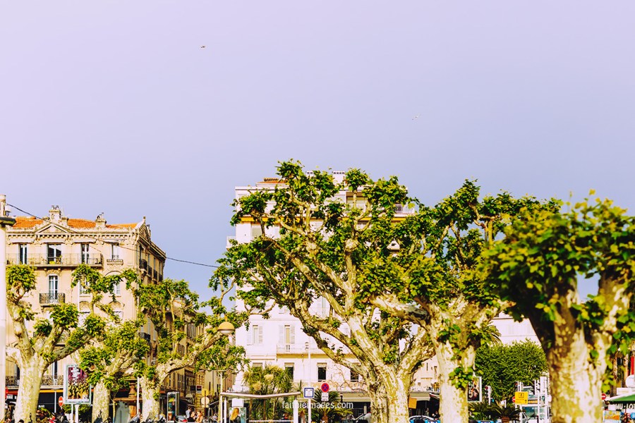 Cannes Pantiero Promenade pt 1 006