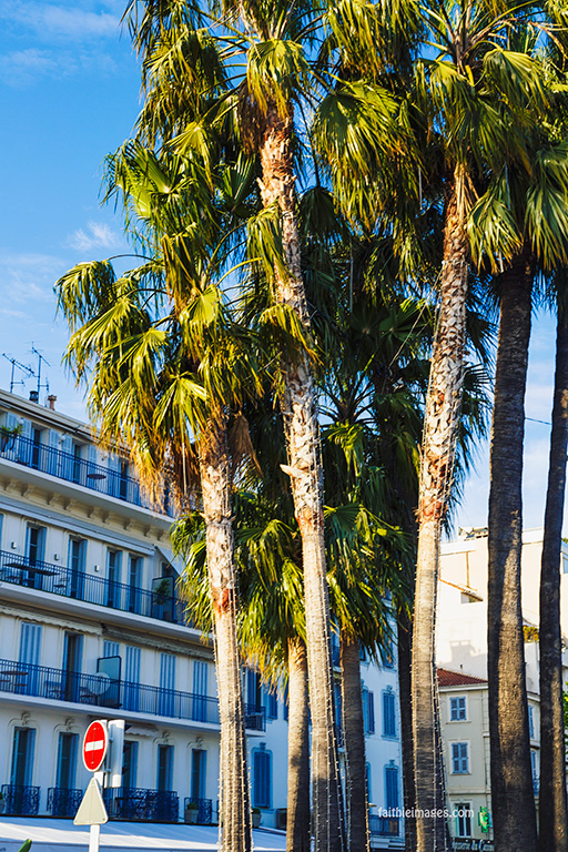 Cannes Pantiero Promenade pt 1 009