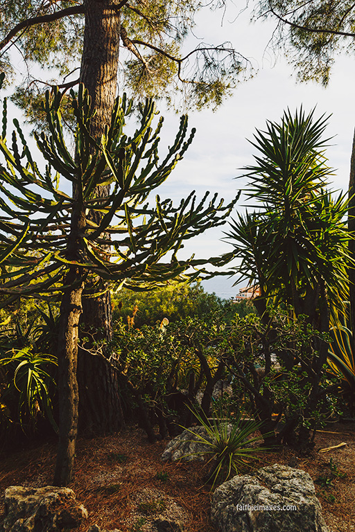 Faithieimages - Monaco Gardens