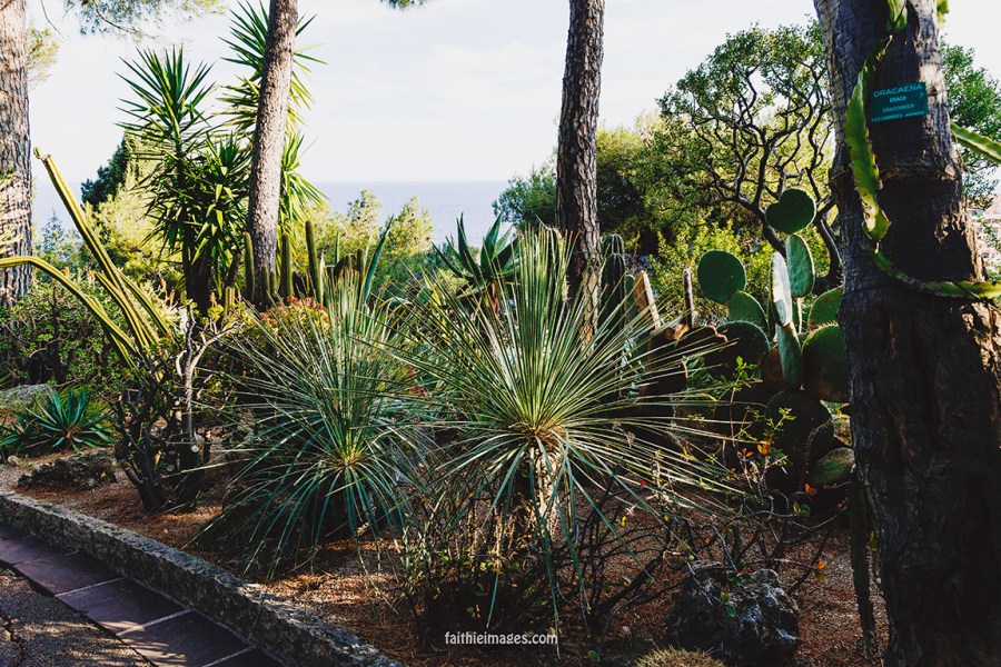 Faithieimages - Monaco Gardens