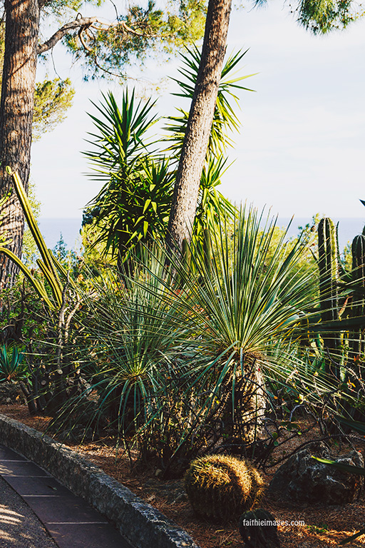 Faithieimages - Monaco Gardens