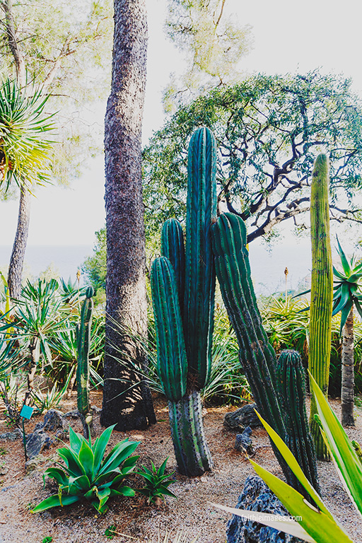 Faithieimages - Monaco Gardens