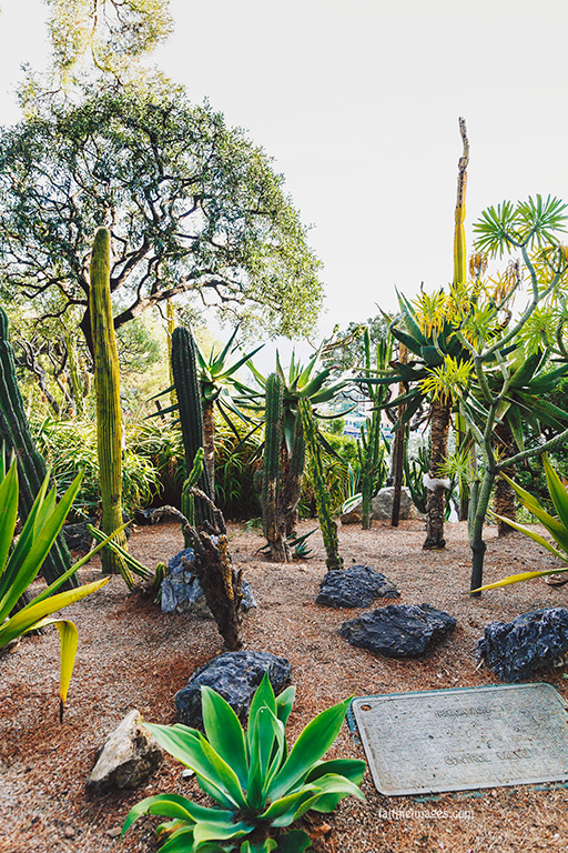 Faithieimages - Monaco Gardens