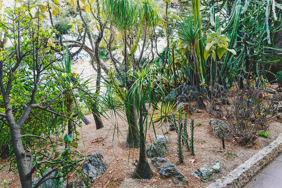 Faithieimages - Monaco Gardens