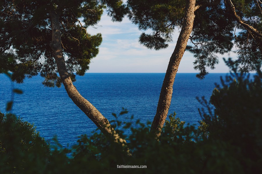 Faithieimages - Monaco Gardens pt. 2 002